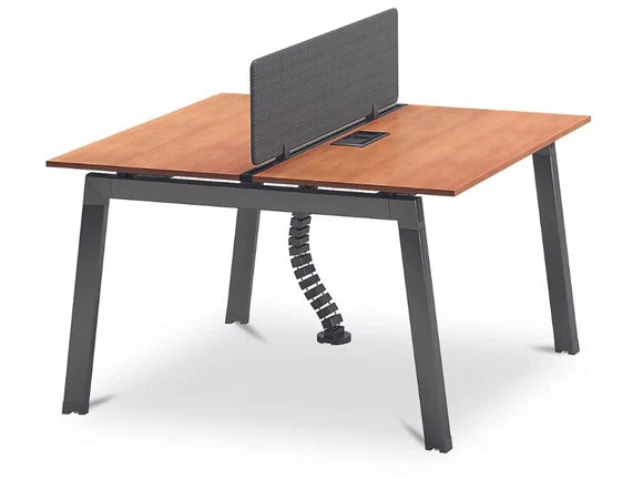 Triton Linear Workstation for 2 Persons image 1
